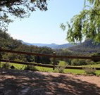 Cedar Grove - - Accommodation Daintree