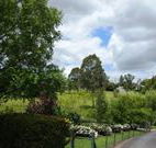 Cottage Barn Bed and Breakfast - Accommodation Daintree