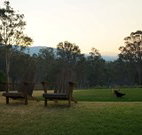 Elfin Hill - Accommodation Daintree