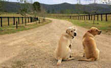 Pemberley Grange Hunter Valley Getaway - Accommodation Daintree 1