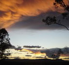 Silkwood B and B - Accommodation Daintree