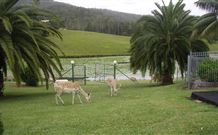 Sunny Hill Retreat Accommodation And Day Spa - - Accommodation Daintree 6