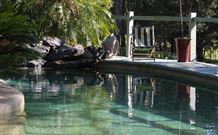 Telegraph Retreat - - Accommodation Daintree 3