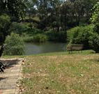 The River Bed and Breakfast - Accommodation Daintree