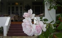 White House Heritage Guesthouse - Accommodation Daintree 0