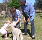 Yarralong BnB and Farm Stay - Accommodation Daintree