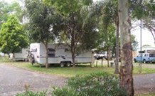 Gum Tree Heaven - Accommodation Daintree 0
