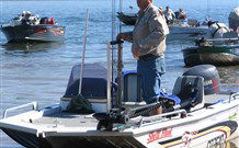 Leslie Cottage - Accommodation Daintree 0