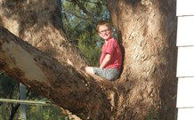 Leslie Cottage - Accommodation Daintree 7