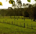 Stone Cottage Mittagong - Accommodation Daintree