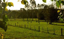Stone Cottage Mittagong - Accommodation Daintree 0