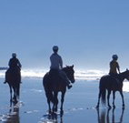 The Hayloft - Accommodation Daintree