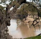 Valley View Cottage Hunter Valley - Accommodation Daintree