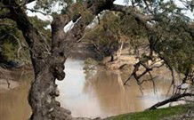 Valley View Cottage Hunter Valley - Accommodation Daintree 0