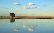 Valley View Cottage Hunter Valley - Accommodation Daintree 4