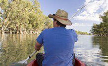 Valley View Cottage Hunter Valley - Accommodation Daintree 5