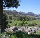 Woolshed Hill Estate - Accommodation Daintree