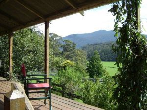 Fairview Farm Cottages - Accommodation Daintree 6