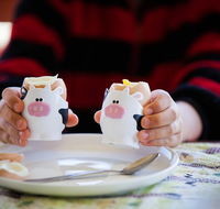 Cosy Cow Farmstay Bed and Breakfast - Accommodation Daintree