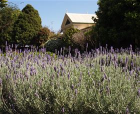 Vacy Hall Toowoomba's Grand Boutique Hotel Since 1873 - Accommodation Daintree 2