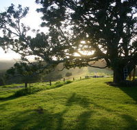 Kilfeacle Farm Cottage - Accommodation Daintree