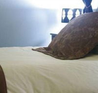 Mount Victoria Manor - Accommodation Daintree