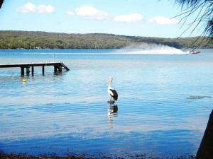 Dungowan Waterfront  Accommodation - Accommodation Daintree 0