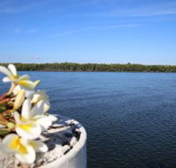 The Fishing Haven Holiday Park - Accommodation Daintree