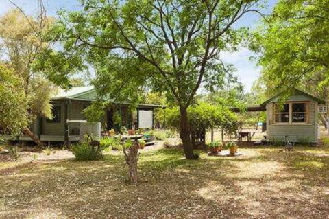 Red Tractor Retreat - Accommodation Daintree 1