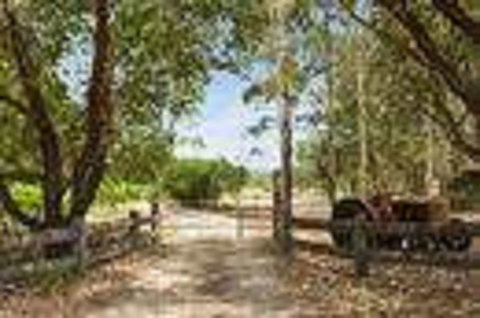 Red Tractor Retreat - Accommodation Daintree 2