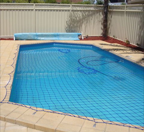 Christies Cottage For Holidays And Relocations. - Accommodation Daintree 8