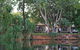 Discovery Parks - Lake Kununurra - thumb 2