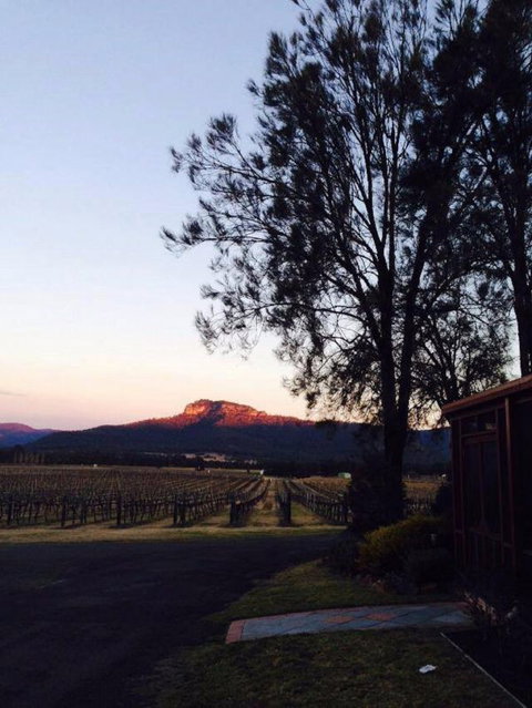 Nightingale Wines Luxury Villas - Accommodation Daintree 1