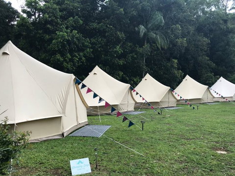 Glamping Hire Co - Accommodation Daintree 2