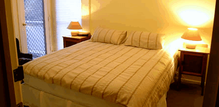 Alpine Ridge Lodge - Accommodation Daintree 2