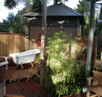 The Old Convent Guesthouse - Accommodation Daintree