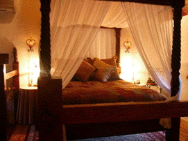 The Woodmans Cottage - Accommodation Daintree 2