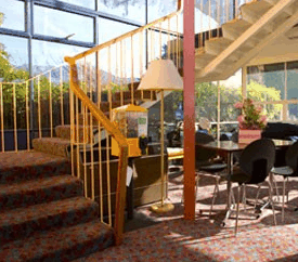 Best Western Blue Hills Battery Point Inn - Accommodation Daintree 1