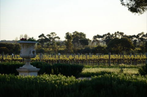 Angas Plains Estate Wines Heritage Suite - Accommodation Daintree 6