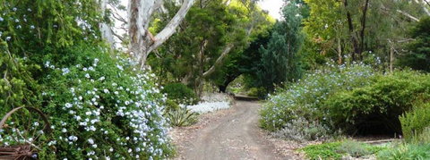 Camawald Coonawarra Bed & Breakfast - Accommodation Daintree 5