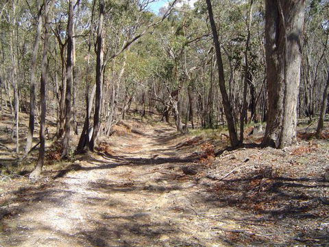 Bushmans Lookout - Accommodation Daintree 3