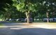 Colac Colac Caravan Park - thumb 1