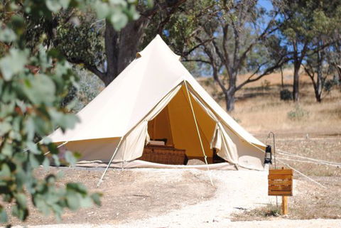 Cosy Tents - Accommodation Daintree 0