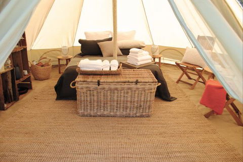 Cosy Tents - Accommodation Daintree 1