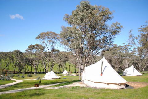 Cosy Tents - Accommodation Daintree 5