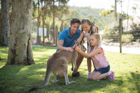 Paradise Country Farmstay - Accommodation Daintree 7