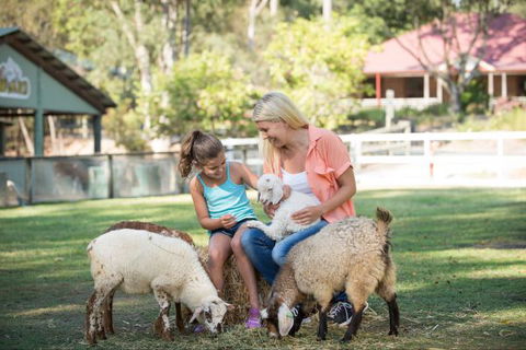 Paradise Country Farmstay - Accommodation Daintree 9