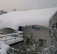 Schuss Lodge Thredbo - Accommodation Daintree