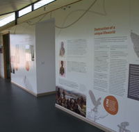 Whitestone Apartments - Accommodation Daintree