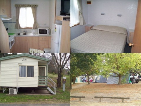 Adelong Golden Gully Caravan Park - Accommodation Daintree 4